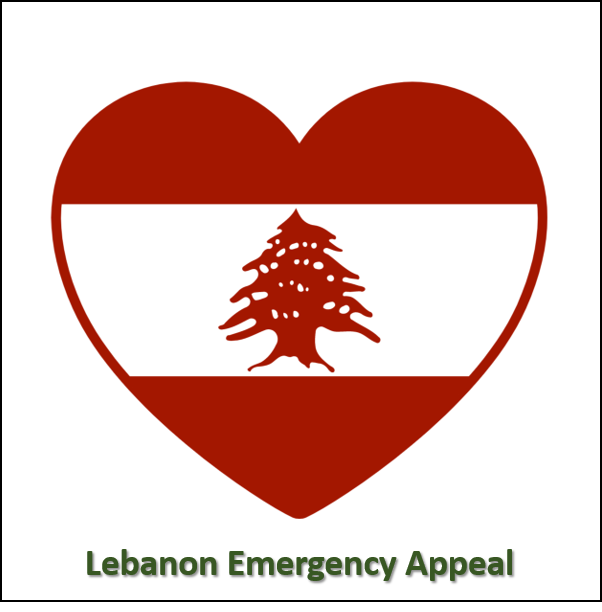 Lebanon Emergency Appeal