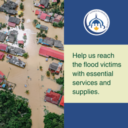 Bangladesh Relief